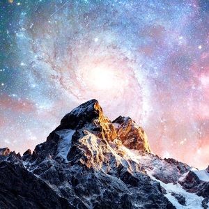 Meet your Posher, Toby